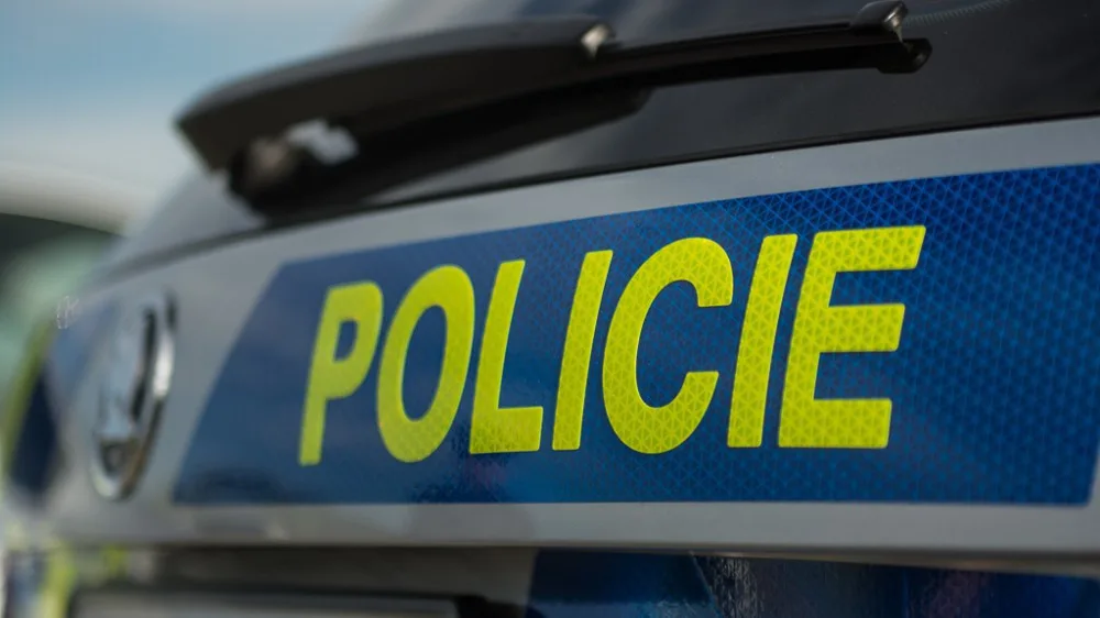 Policisté pátrali po sedmnáctileté dívce, která je v devátém měsíci těhotenství