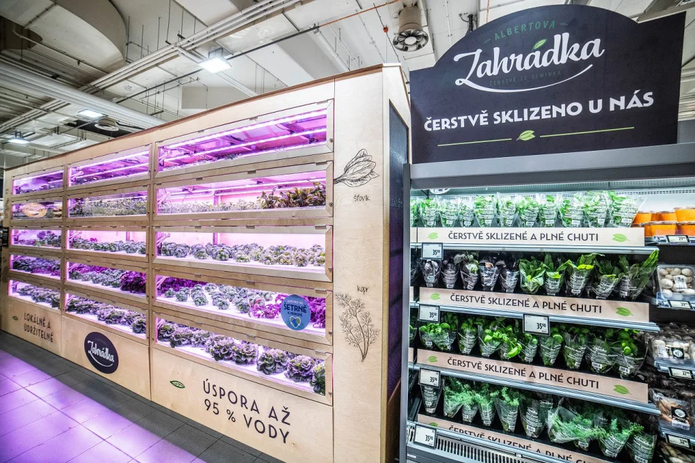 Albert má v obchodě na Chodově hydroponickou zahrádku