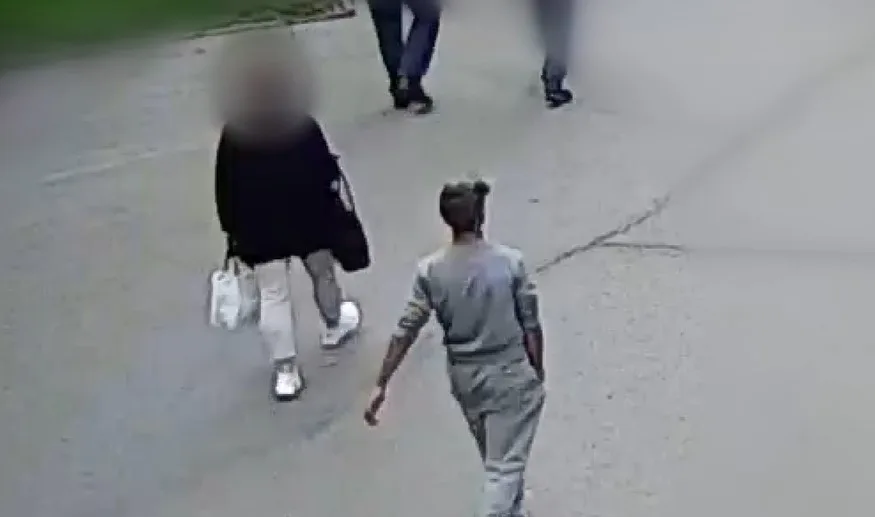VIDEO: Přepadení před nádražím. Žena skončila kvůli kabelce na zemi