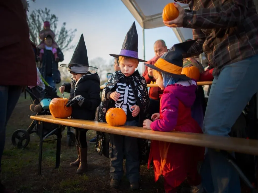 Dýně a strašidla. Botanická zahrada chystá halloweenské odpoledne