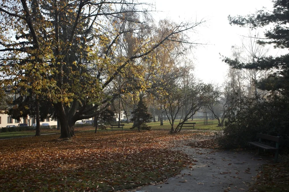 Park Na Solidaritě projde revitalizací. Bude mít nové cesty i osvětlení