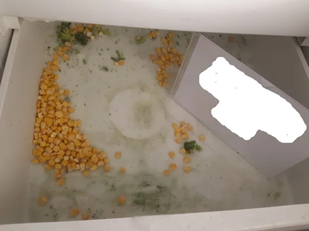Pražští hygienici rozdali v říjnu skoro třicet pokut. Nelíbil se jim mastný strop a špína