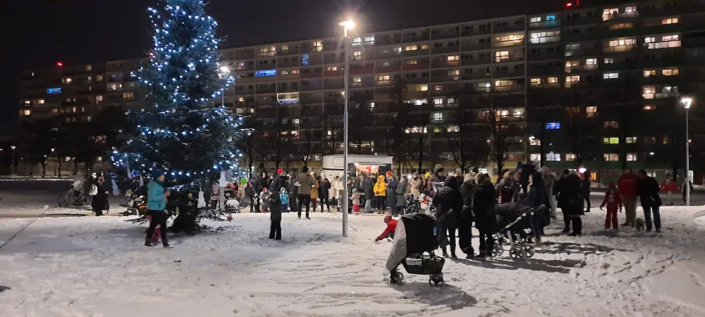 Vánoční strom v parku Přátelství v Praze 9.