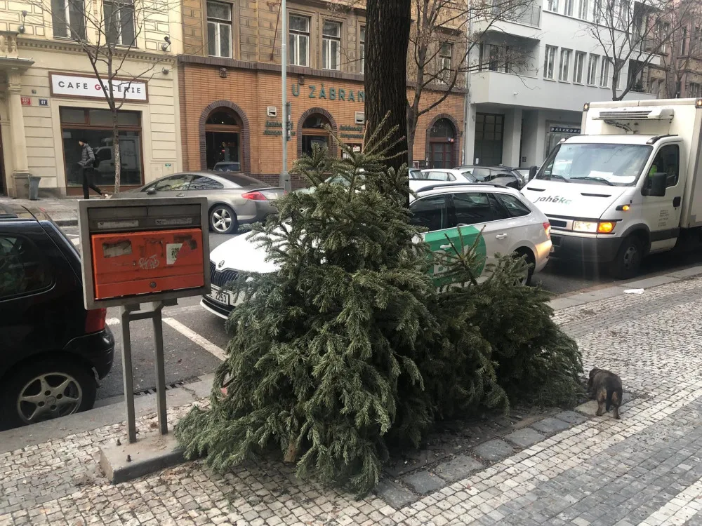 Takhle ne. Kam vyhodit vysloužilý vánoční stromek?