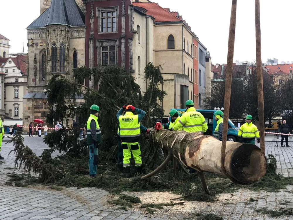 VIDEO: Pražský vánoční strom šel k zemi. Budou z něj