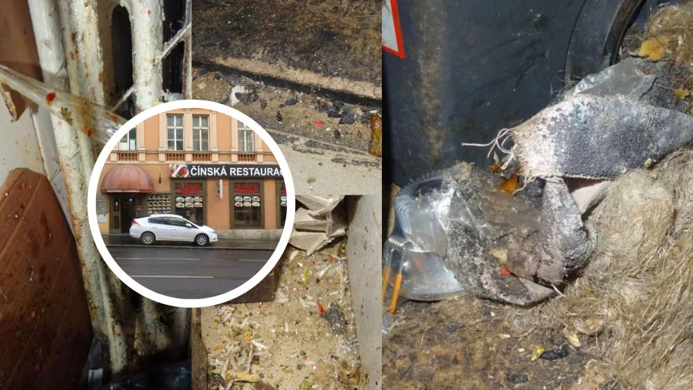 Myší trus a špína. Inspekce zavřela čínskou restauraci v Praze 2