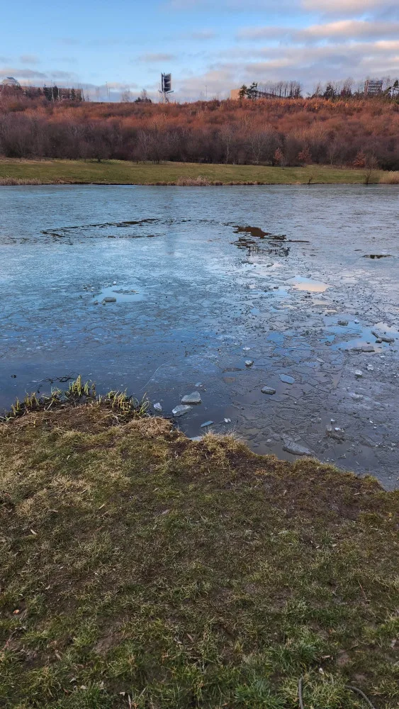Chlapec byl po krk ve vodě a držel se ledové kry. Vytáhli ho hasiči a skončil v nemocnici