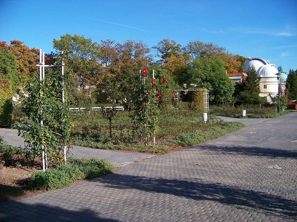 Růžová zahrada.