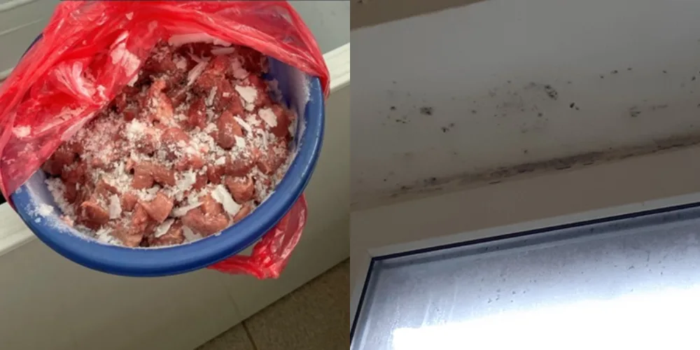 Hygienici objevili neoznačené maso nebo plesnivé okno.