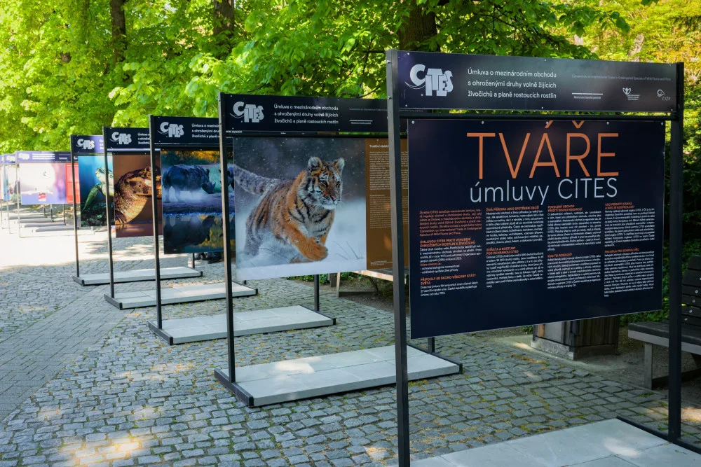 Zoo Praha