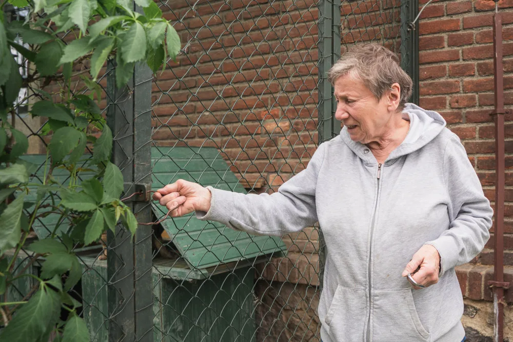Pani Šeberová všude pečlivě zavírá a zamyká, aby kočky neutekly
