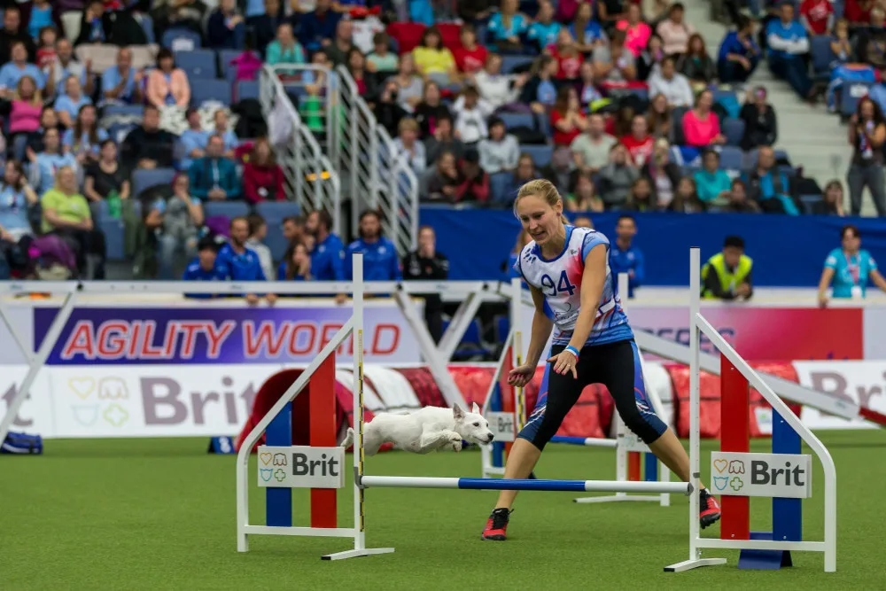 Mistrovství světa agility v Liberci se nezadržitelně blíží, vstupenky mizí
