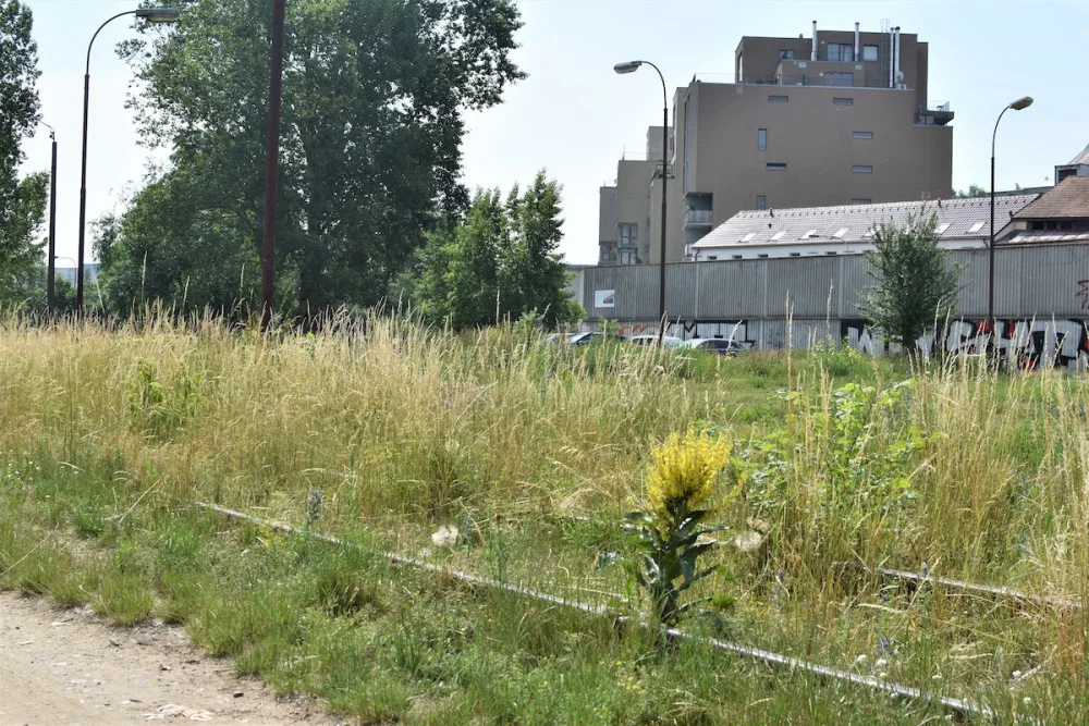 Sedmička začala se stavbou nového parku u Vltavy, stát bude skoro padesát milionů
