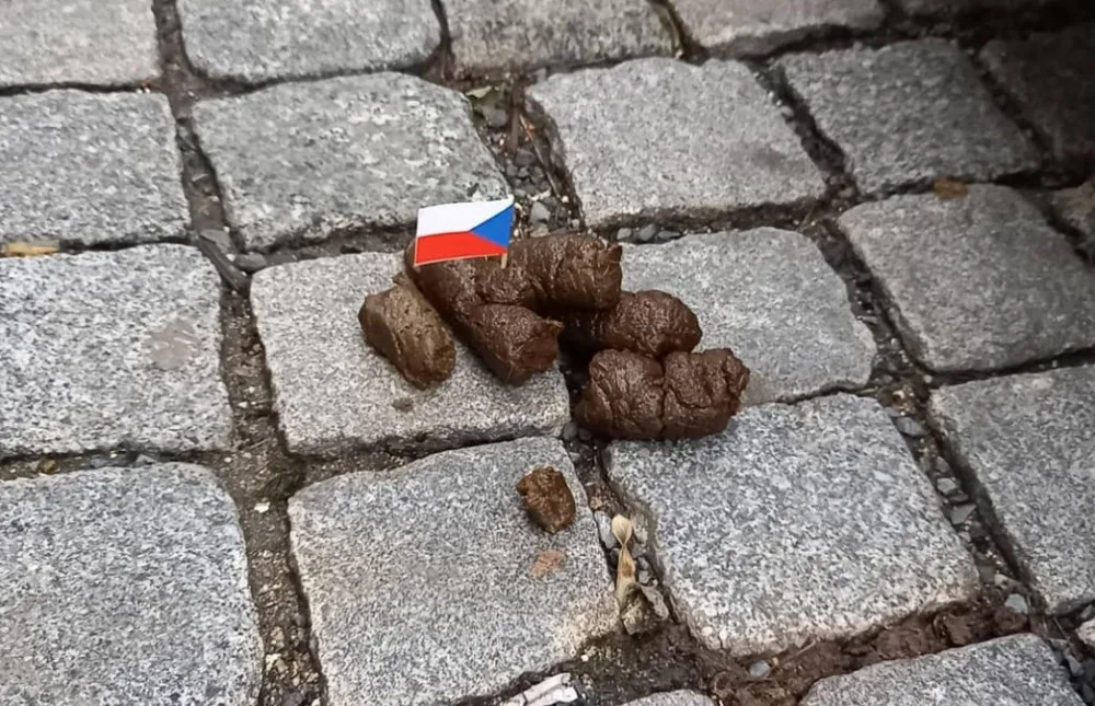 ilustrační foto