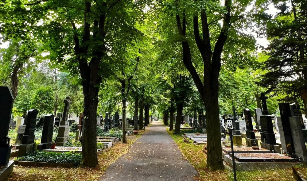 ilustrační foto