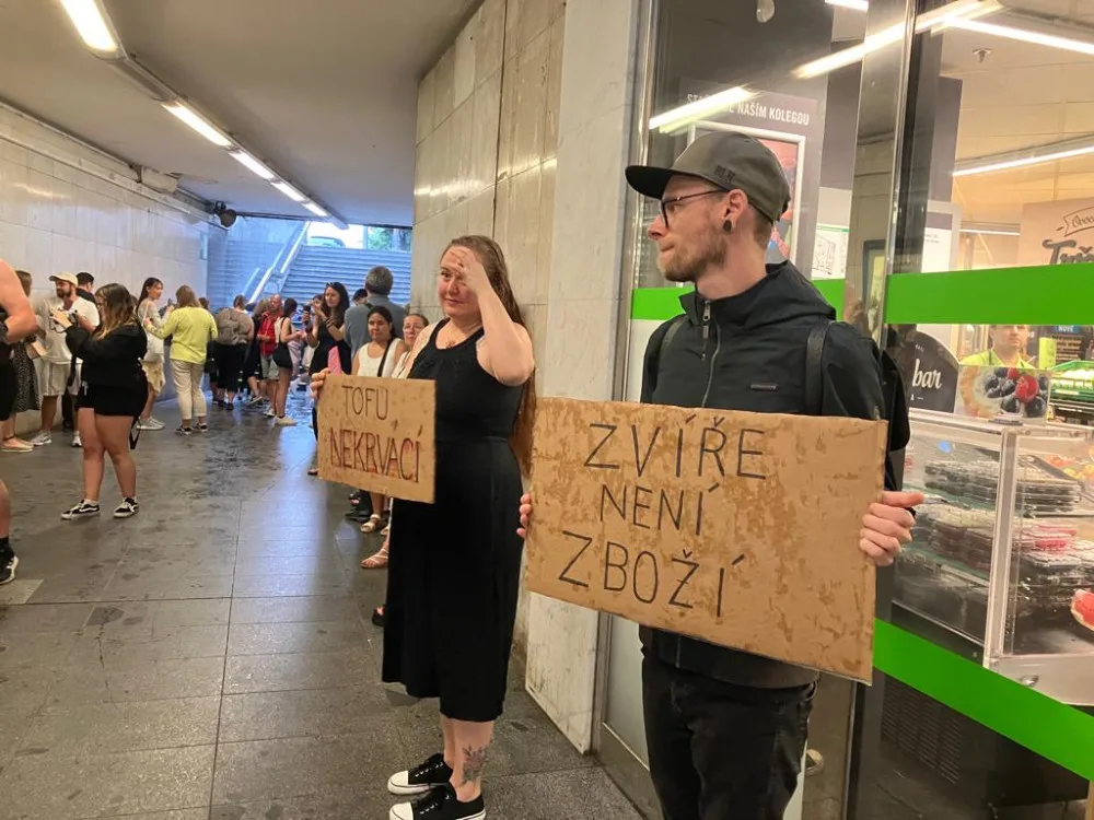 V centru Prahy protestovali lidé ve spodním prádle. Upozornili tím na násilí páchané na zvířatech