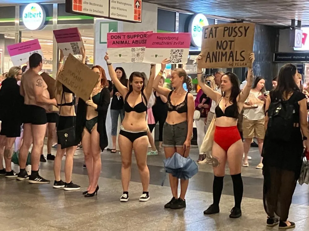 V centru Prahy protestovali lidé ve spodním prádle. Upozornili tím na násilí páchané na zvířatech