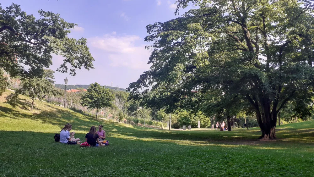 Praha 2 vyzývá své občany: Adoptujte si strom na Dvojce!