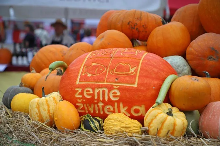 Země živitelka láká na nejsilnější traktor i největšího osla. Vyhrajte vstupenky a užijte si živitelku zadarmo