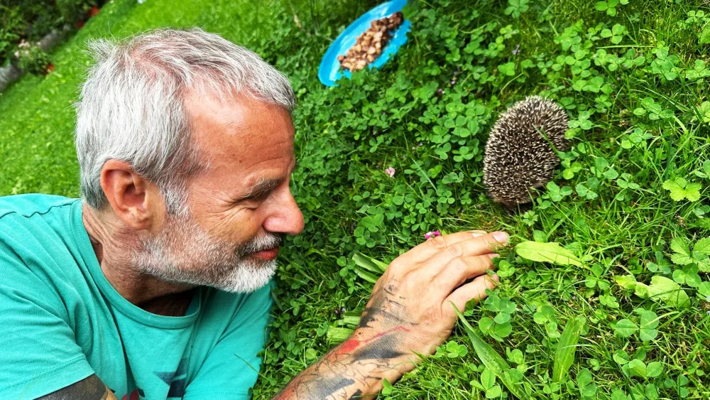 Máme na zahradě rodinku rozkošných ježků. Do záchranné stanice mláďata rozhodně neodneseme