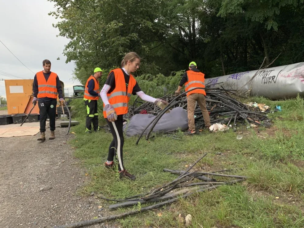 Podívejte se, jaké materiály převládaly na zlikvidované černé skládce