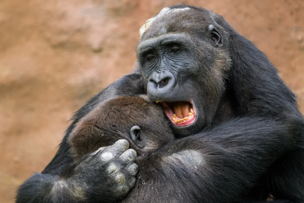Zoo Praha