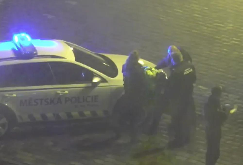 Muže zpacifikovali donucovacími prostředky.