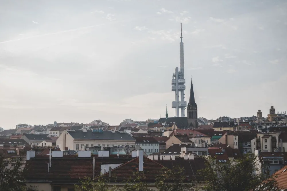 Praha 3 sází nové stromy. Uvažuje i o dolním Žižkově