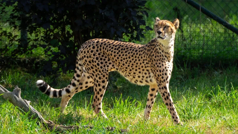 Zoo Praha