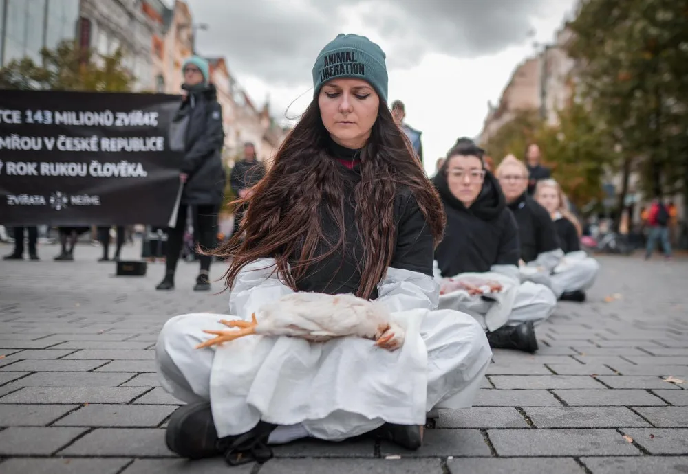 143 milionů mrtvých zvířat. Spolek Nejíme maso se dnes postavil za zvířecí práva