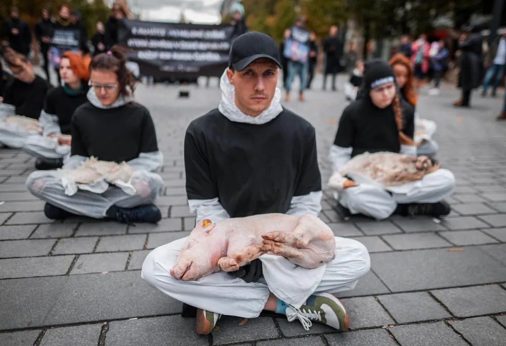 143 milionů mrtvých zvířat. Spolek Nejíme maso se dnes postavil za zvířecí práva