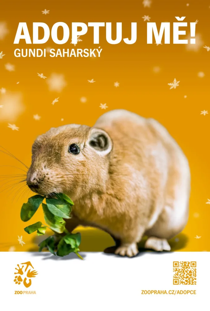 Zoo Praha nabízí zvířecí sirotky k adopci