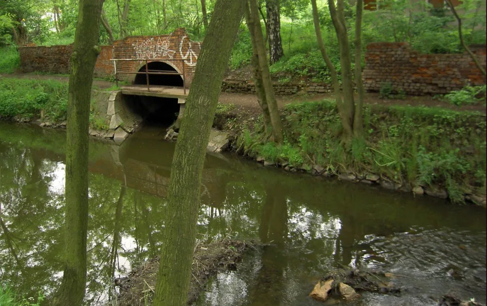 ilustrační foto