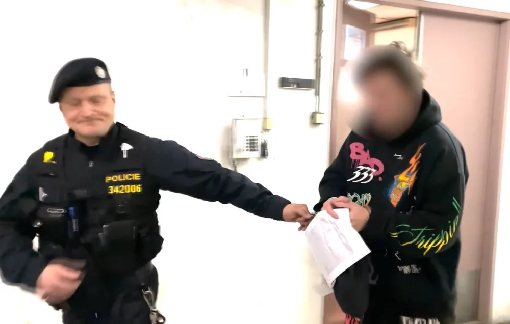 Znásilnění se zbraní, sexuální zneužití dítěte i dětské porno. Kriminalisté zadrželi celoevropsky hledaného muže