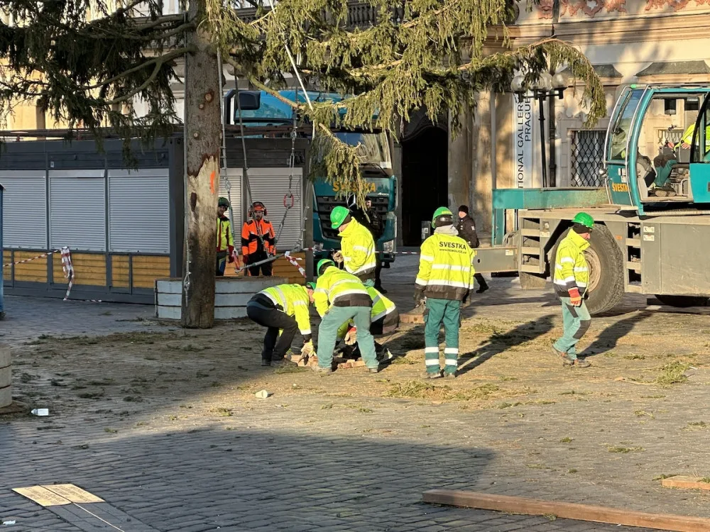 VIDEO: Vánoční strom na Staroměstské náměstí šel k zemi, kmen rozřežou na fošny