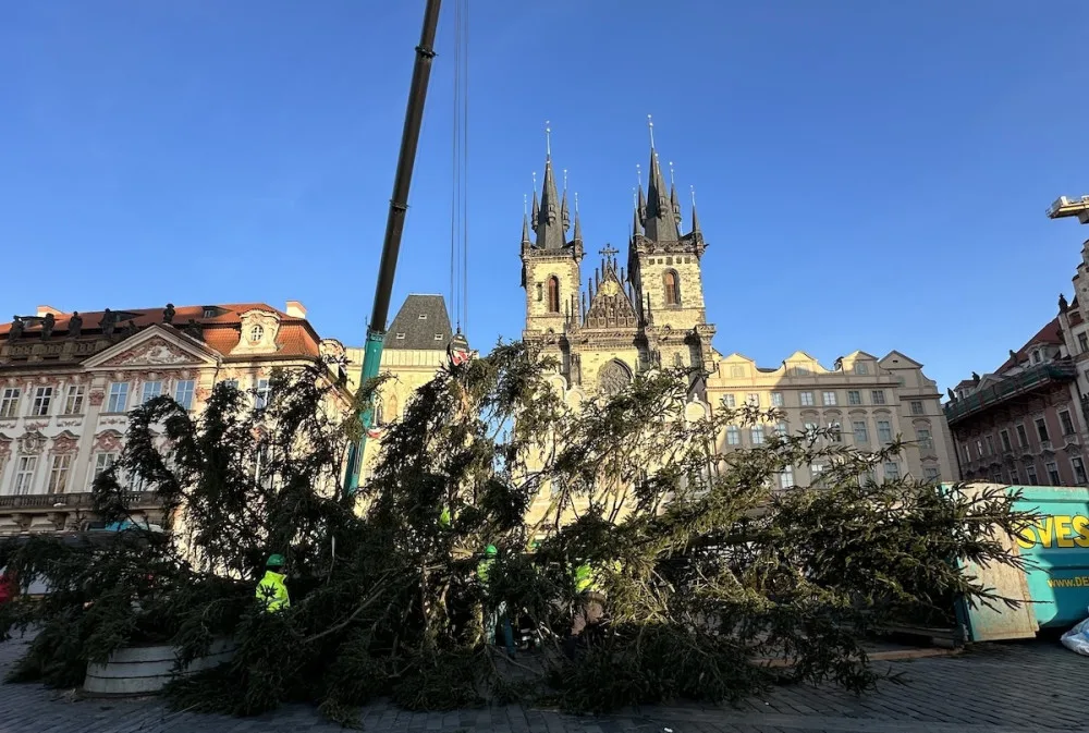 VIDEO: Vánoční strom na Staroměstské náměstí šel k zemi, kmen rozřežou na fošny