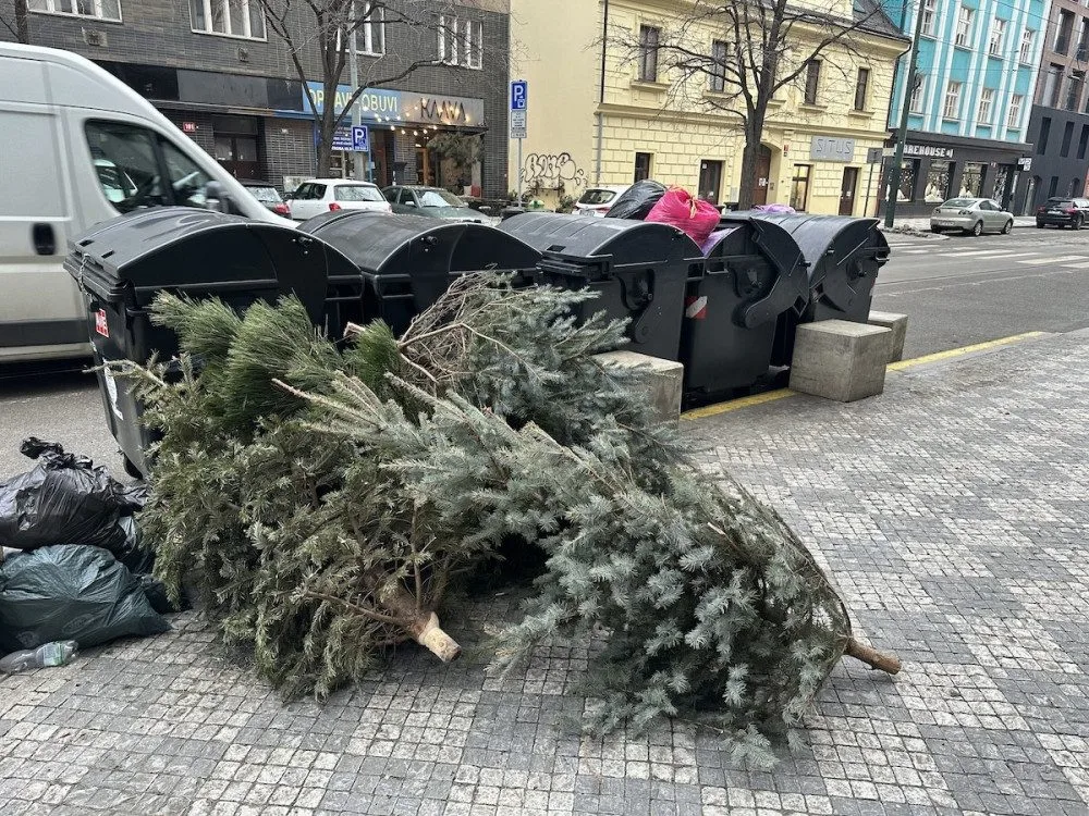 Ilustrační foto