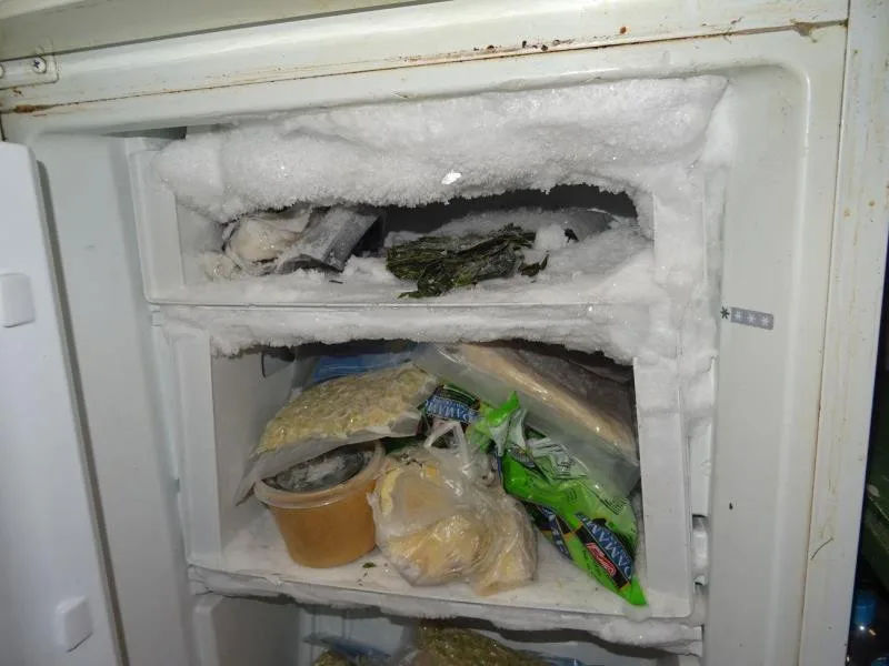 Mrtvý hmyz a všudypřítomná špína. Inspektoři po kontrole zavřeli asijskou restauraci