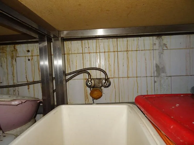 Mrtvý hmyz a všudypřítomná špína. Inspektoři po kontrole zavřeli asijskou restauraci