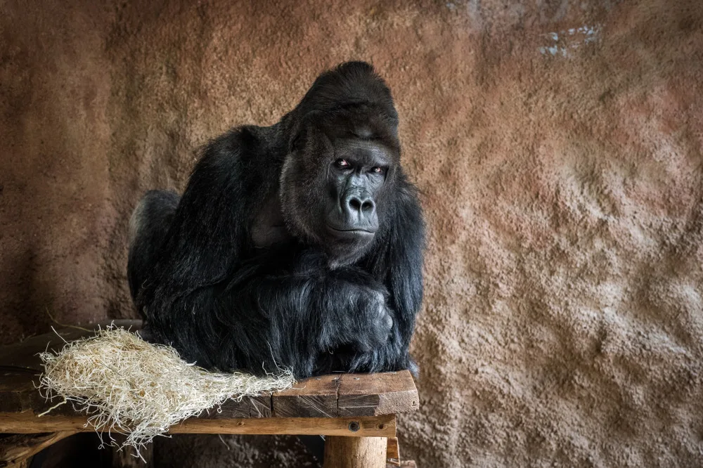 Zoo Praha