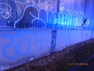 Vandala přistihly při činu hned dvě policejní hlídky najednou