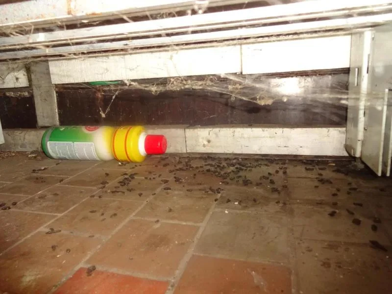 Myší bobky, pavučiny a prach. Večerku na Žižkově inspektoři zavřeli