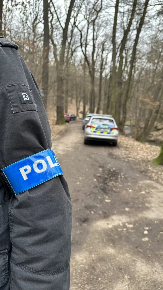 Muž znásilnil ženu v Kunratickém lese. Pátrají po něm desítky policistů