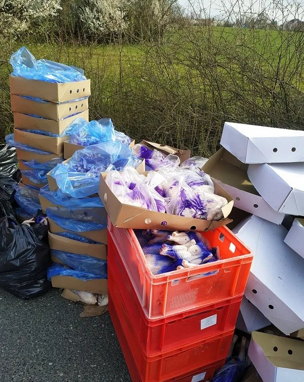 Kohouti s hlavou, kuřecí pařáty, přepravka plná žloutků. V Sapě našli víc než tunu pochybných potravin
