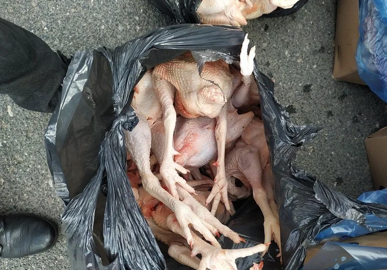 Kohouti s hlavou, kuřecí pařáty, přepravka plná žloutků. V Sapě našli víc než tunu pochybných potravin