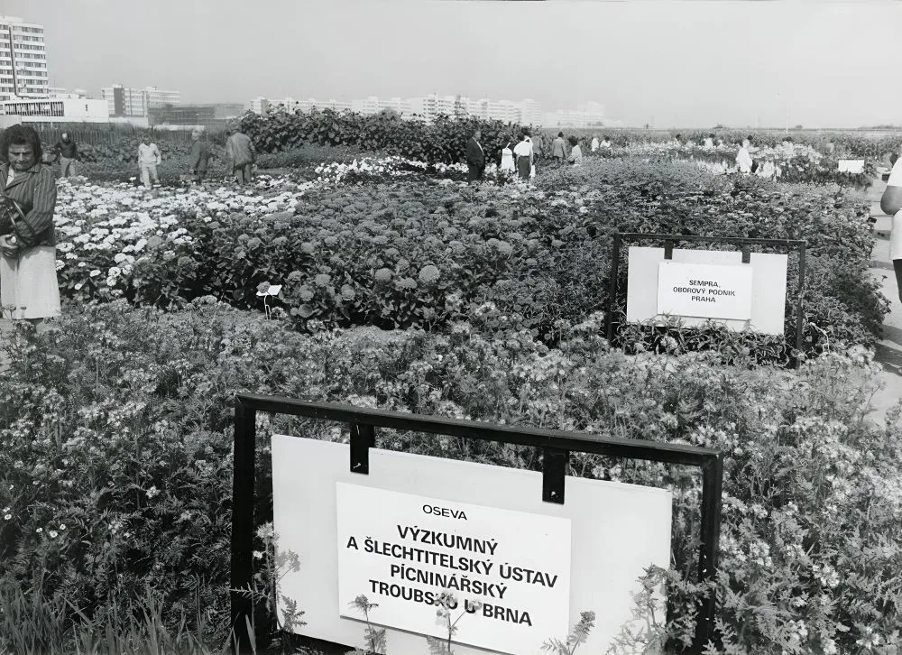 Pokusná políčka v roc  1985