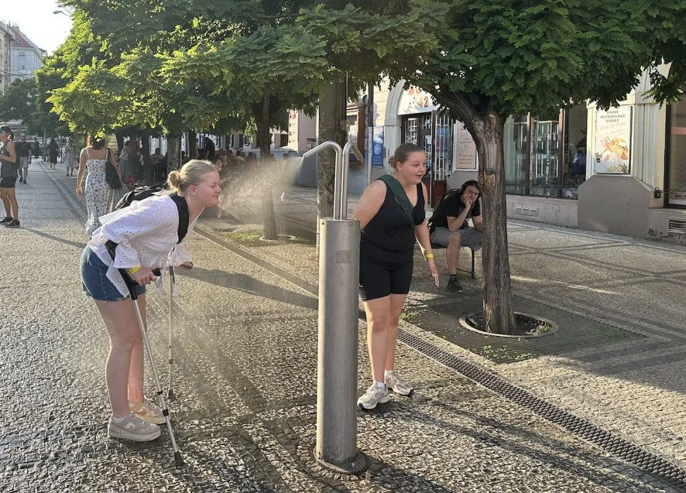 Ilustrační foto