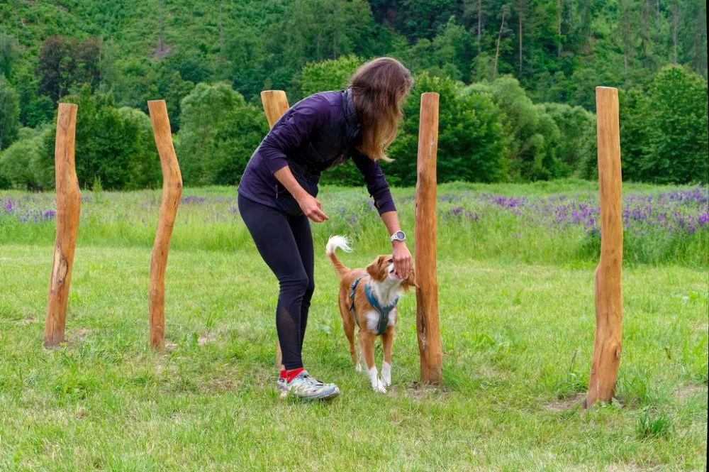 Otevření Purina psího hřiště v Sázavě ve Středočeském kraji