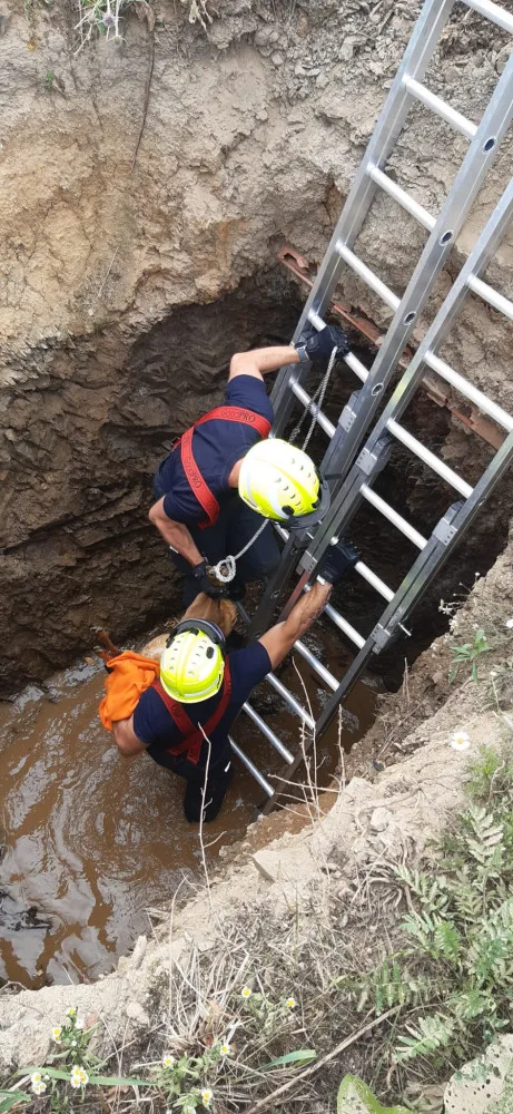 Pražští hasiči v sobotu zasahovali hned dvakrát ve Strašnicích. Stihli také zachránit srnku z výkopu
