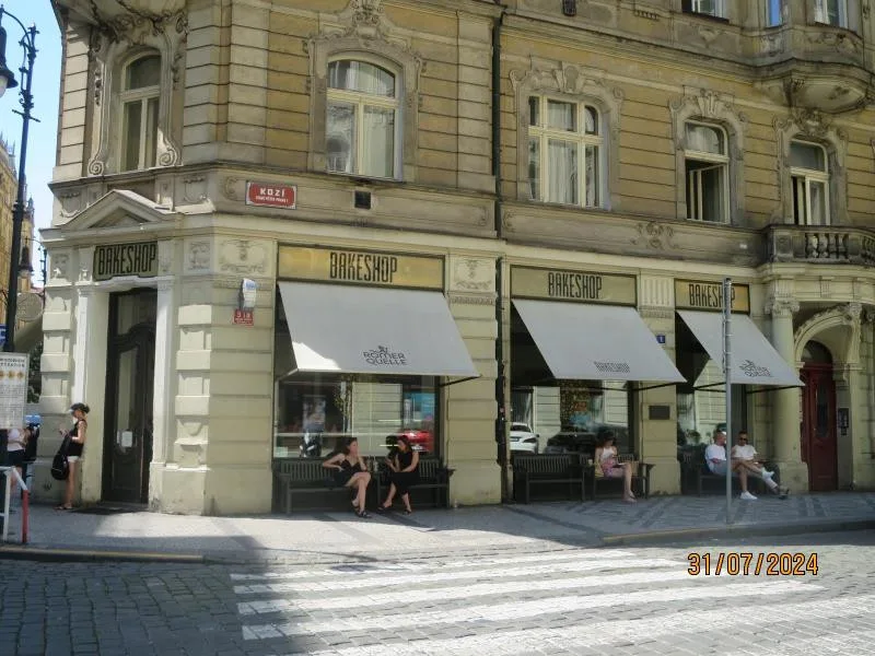 Pekárně v centru Prahy hygienici okamžitě zavřeli kuchyň. Při kontrole tam našli mravence, plíseň i odpadky